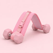 Lunelise LiftBelt